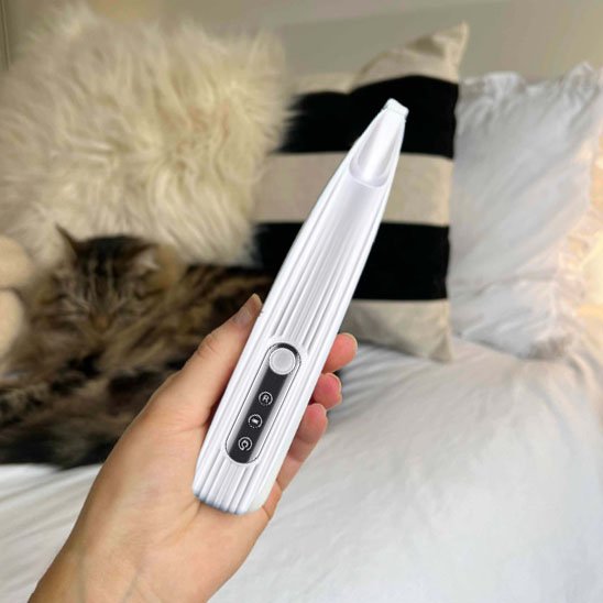 Tondeuse pour chats moderne et confort
