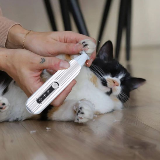 Tondeuse pour chats silencieuse et apaisement