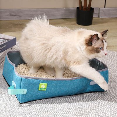 Bac a litiere chats chat sortant du bac