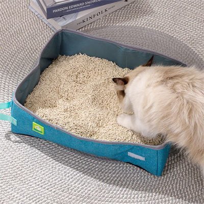 Bac a litiere chats chat allant dans bac