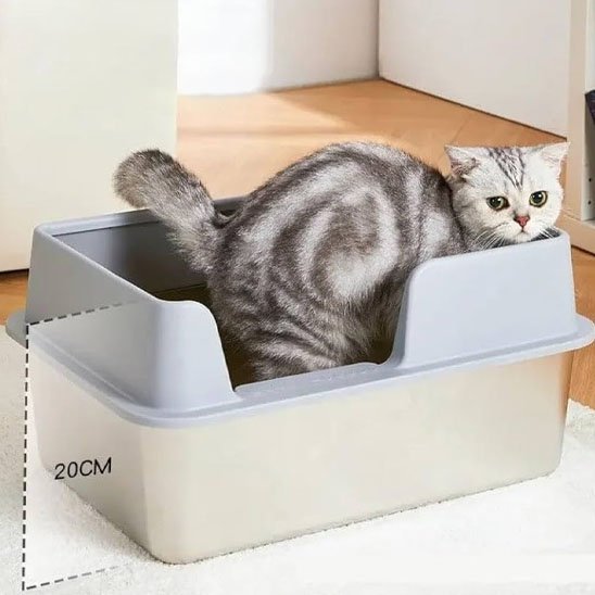 Bac à litière pour chat chat fait besoins dans bac