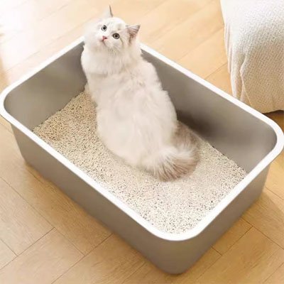 Bac litière chat chat dans bac grand espace avec litière