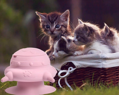 Biberon pour chaton chatons panier pres biberon couleur rose