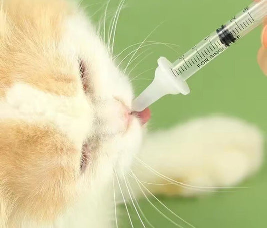 Biberon pour chatons chaton boit seringue lait