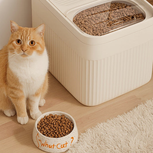 Boîte à croquette chat chat à côté boîte debout gamelle