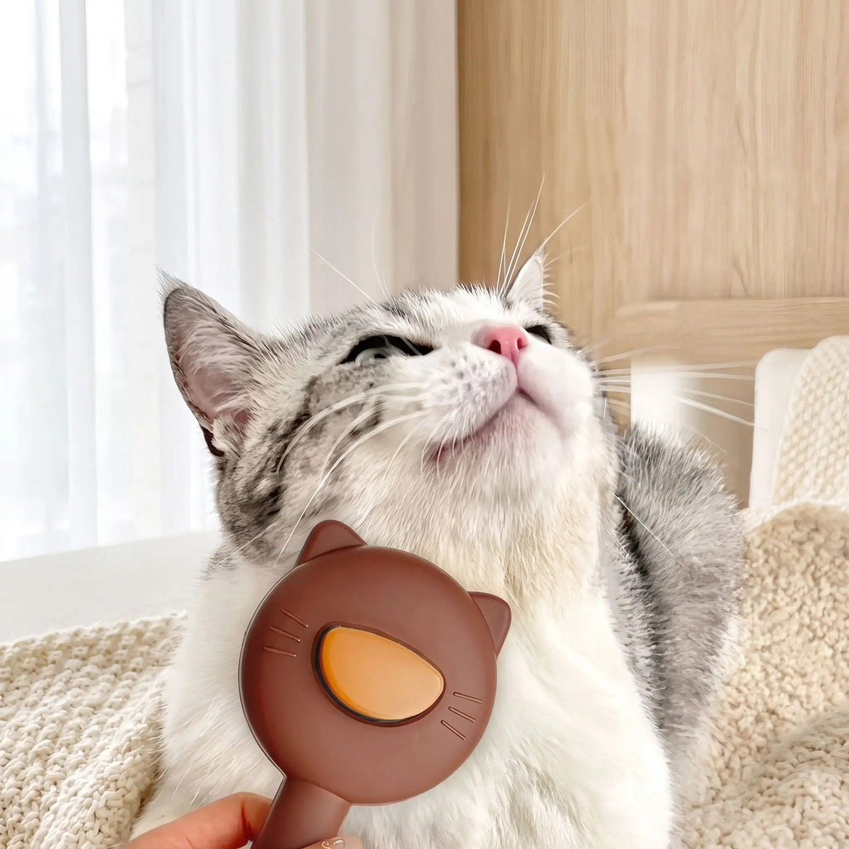 Brosse a Chat | Démélo™ - Patte et Moustache