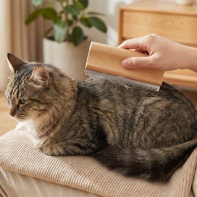 Brosse poil chat​ douce et efficace