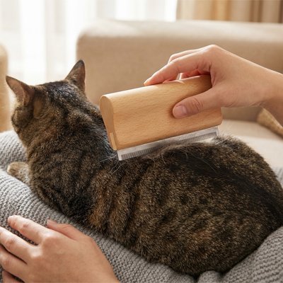 Brosse poil chat​ fini le brossage difficile