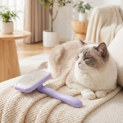 Brosse pour Chat à Poils Longs | AntiNoeuds™ - Patte et Moustache