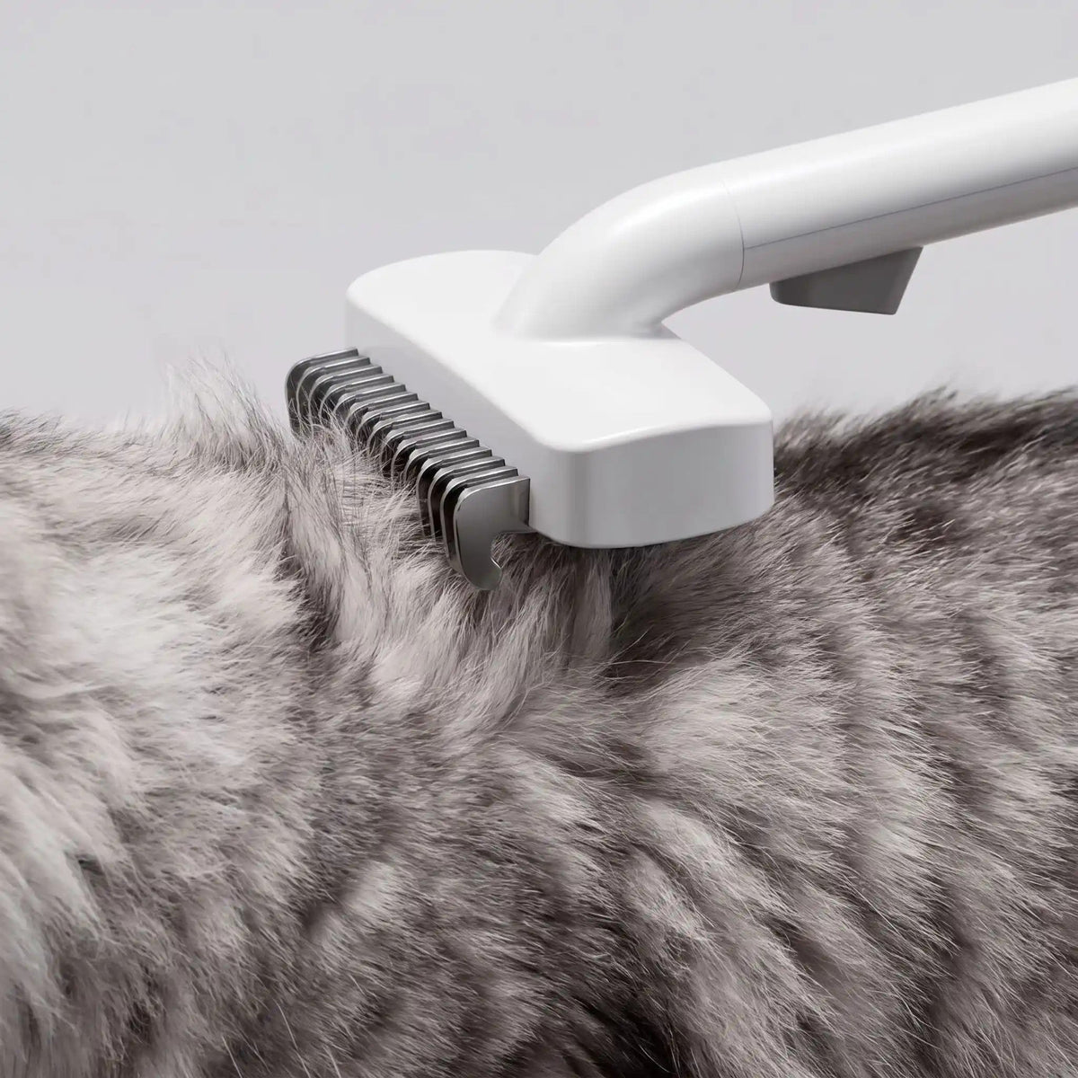 Brosse pour Poil de Chat | Soyeux et lumineux™ - Patte et Moustache