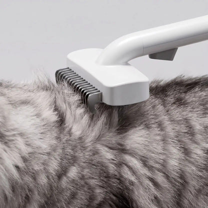 Brosse pour Poil de Chat | Soyeux et lumineux™ - Patte et Moustache