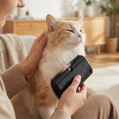 Brosse pour poils de chat​s lien renforcé