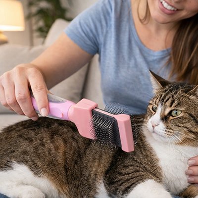 Brosses pour Chat