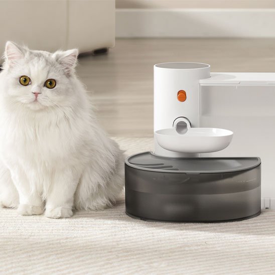 Chat distributeur eau chat assis a cote distributeur