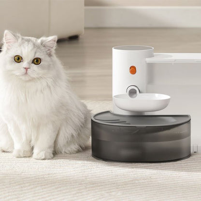 Chat distributeur eau chat assis a cote distributeur