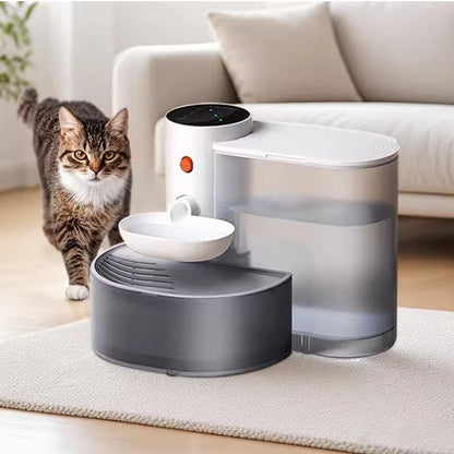 Chat distributeur eau chat debout marche a cote distributeur eau
