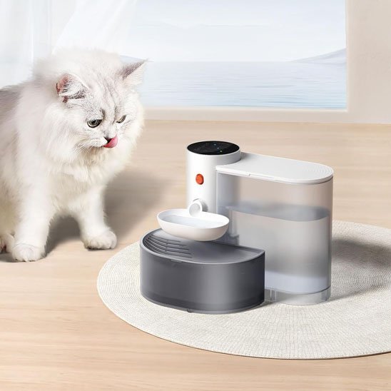 Chat distributeur eau chat leche babine regarde distributeur