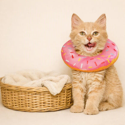 Collerette chat gonflable confort