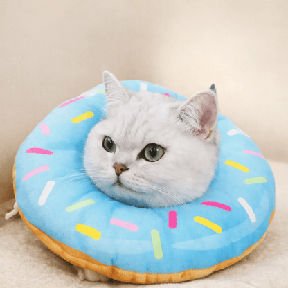 Collerette chat gonflable guerison paisible