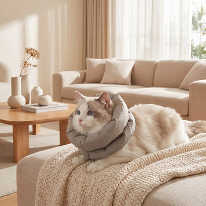 Collerette chat souple protection douce