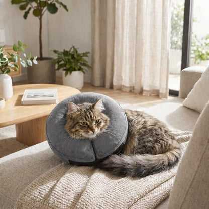Collerette Gonflable Chat | Protection Douce™ - Patte et Moustache