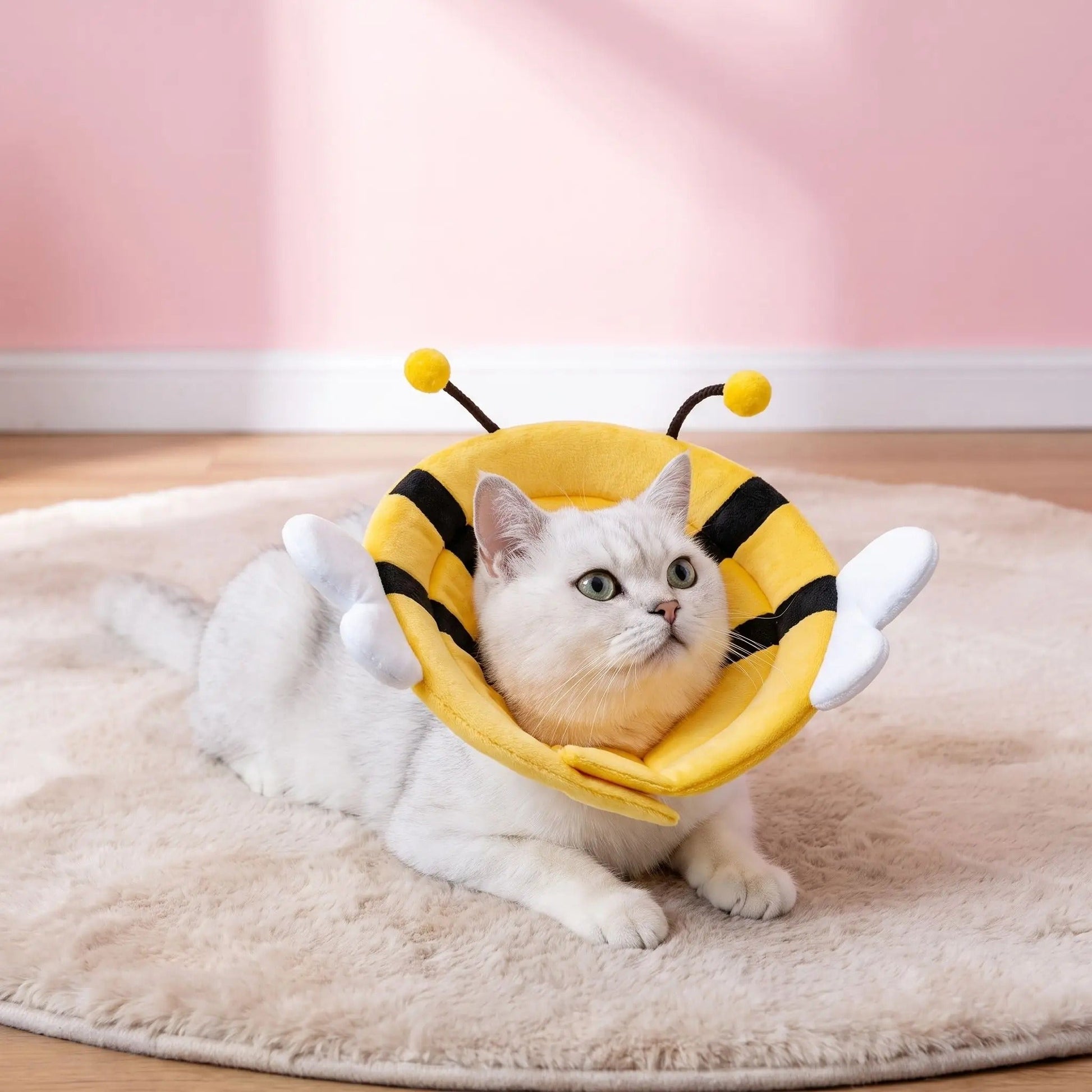 Collerette souple chat design abeille