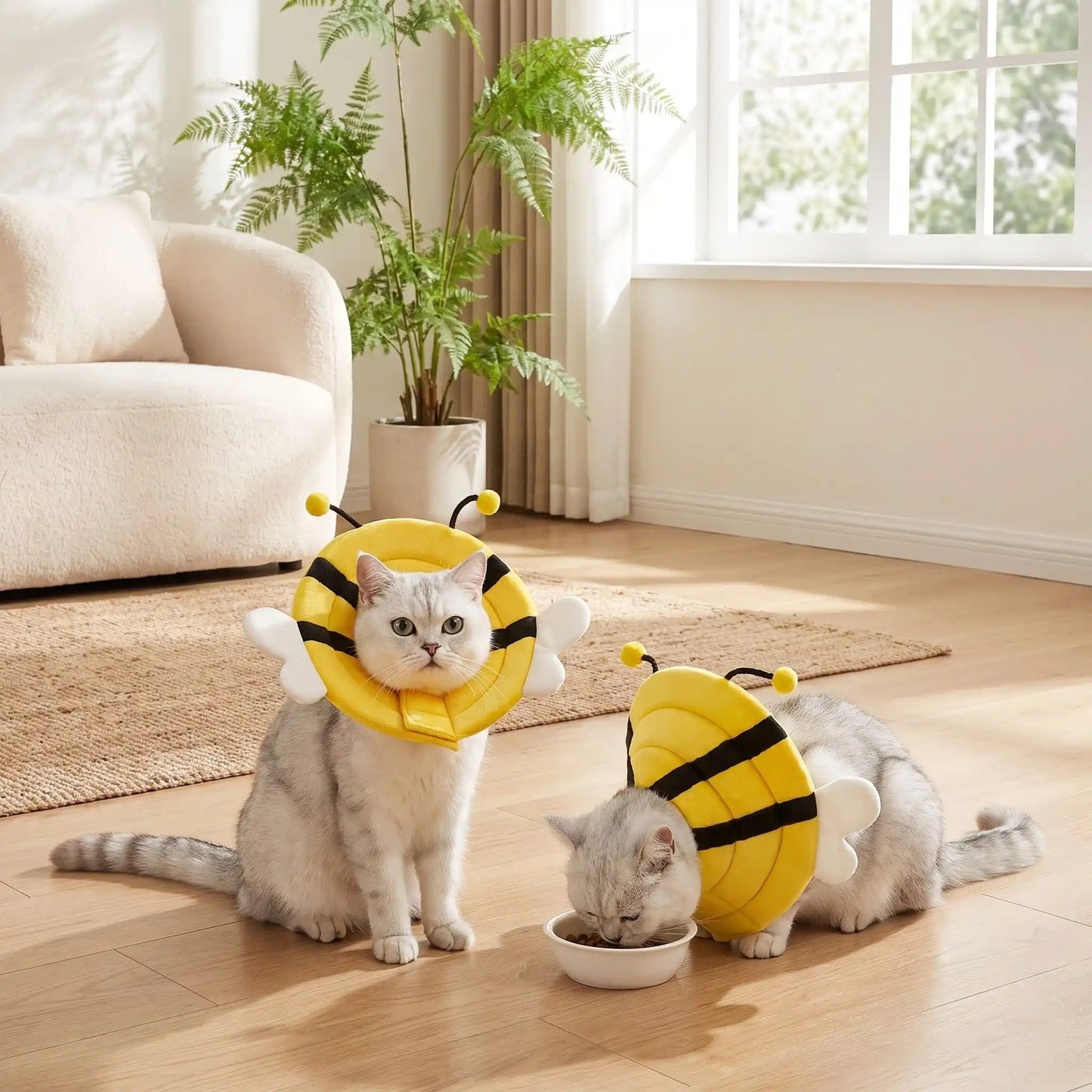 Collerette souple chat protection douce