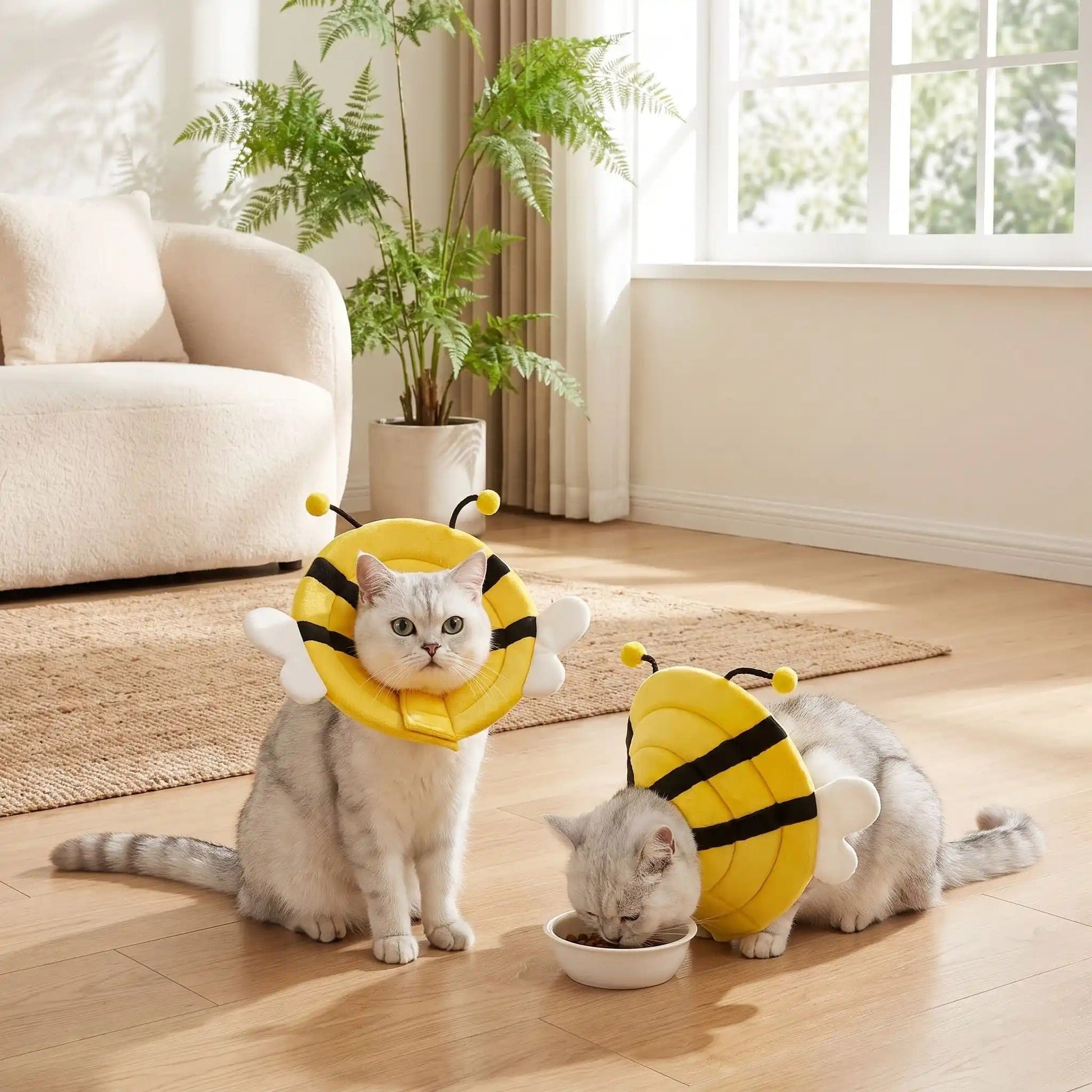 Collerette souple chat protection douce