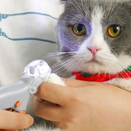 Coupe griffe chat solution douce