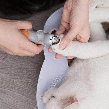 Coupe griffe chat précision