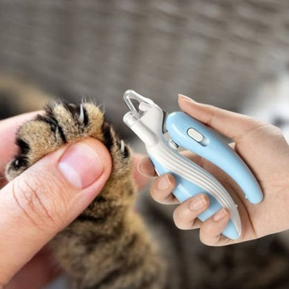 Coupe griffe pour chat rituel soins