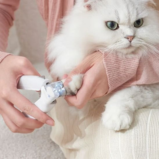 Coupe griffe pour chat serenite pour votre chat