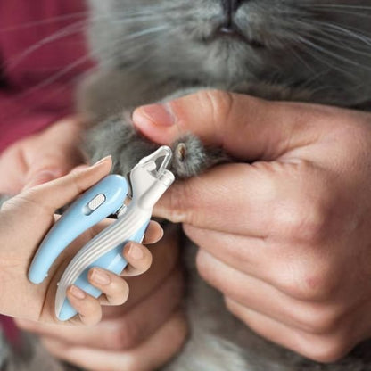 Coupe griffe pour chat confort et serenite