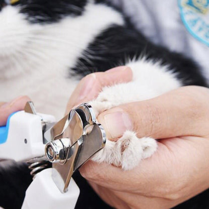 Coupe griffes pour chat couper sans crainte