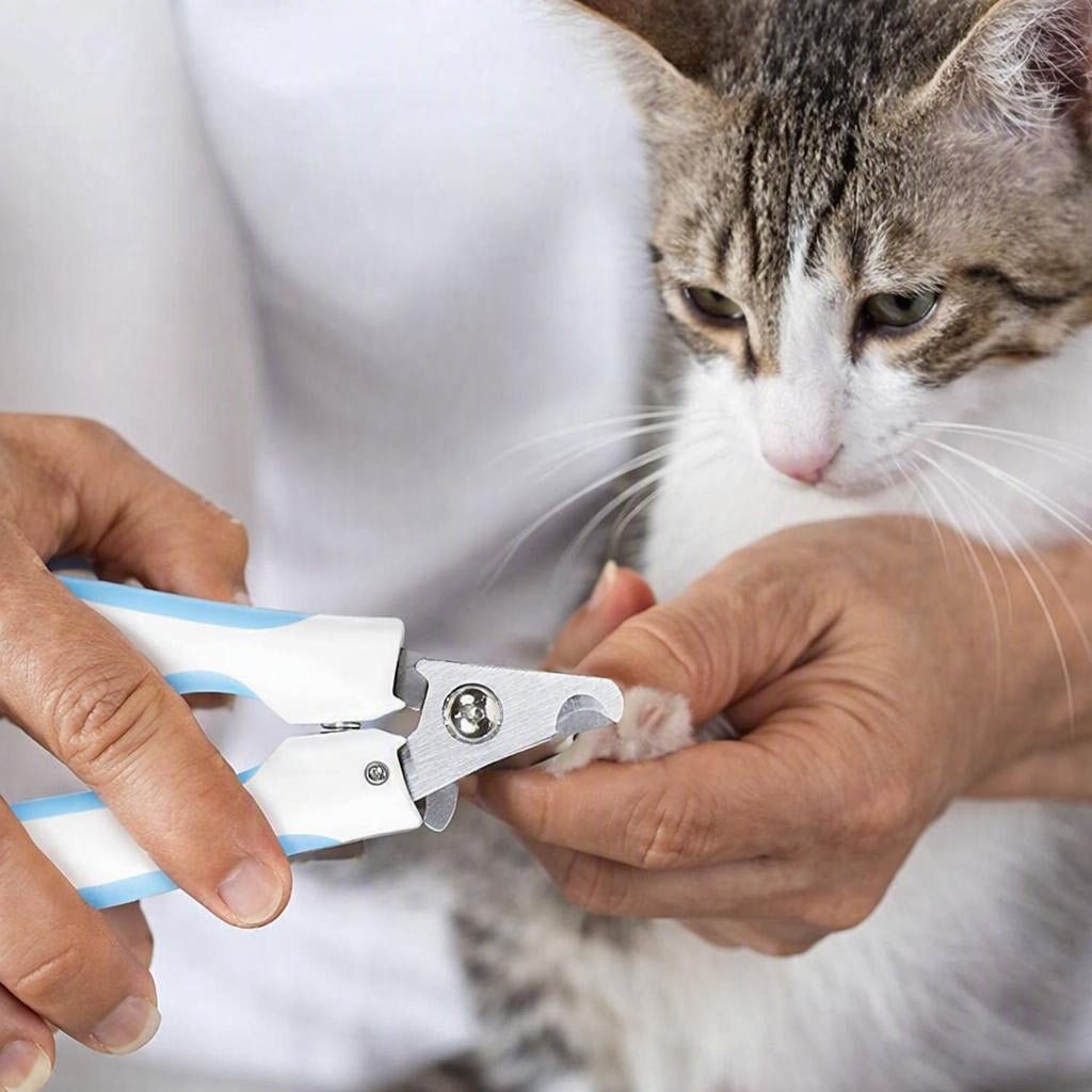 Coupe griffes pour chat moment de complicités