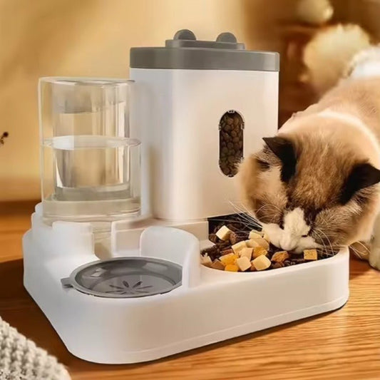 Distributeur croquettes chat mange croquettes distributeur