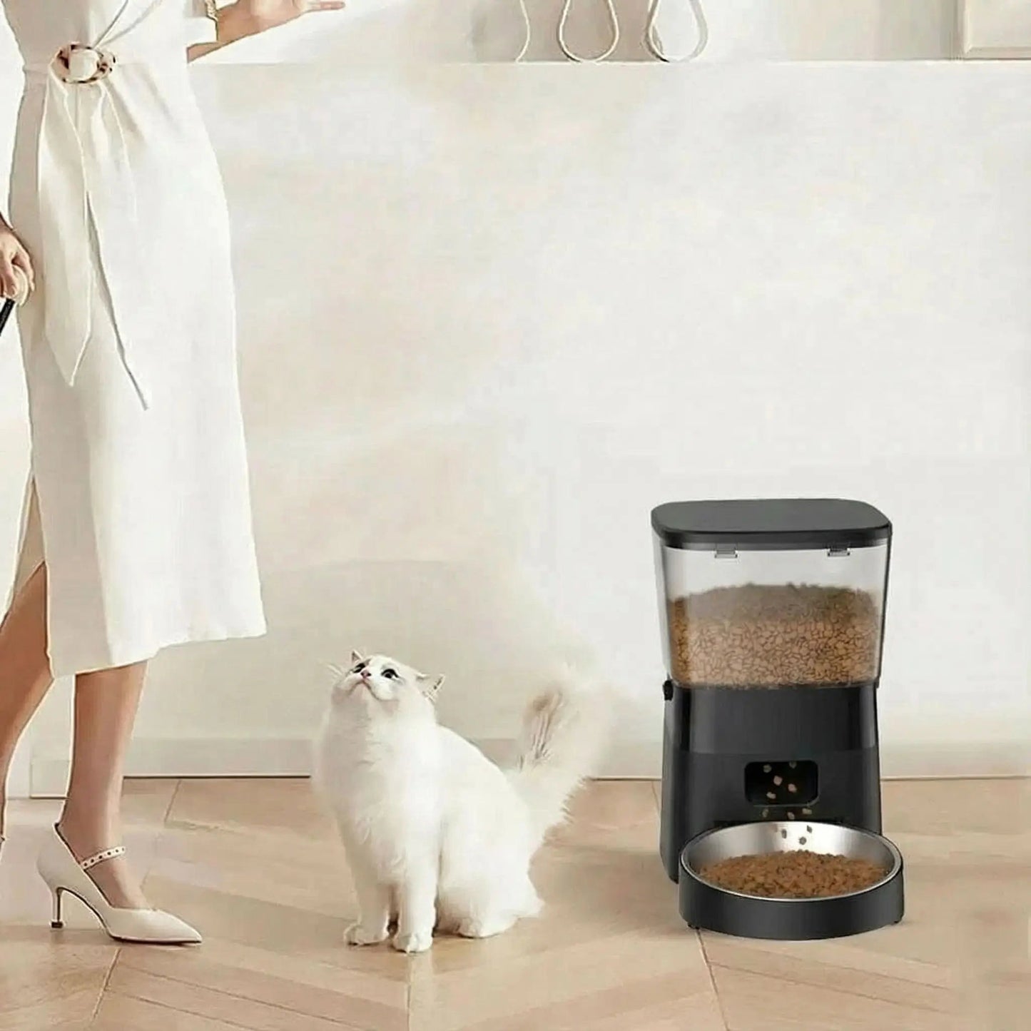 Distributeur croquettes chat regarde maitresse a cote distributeur noir