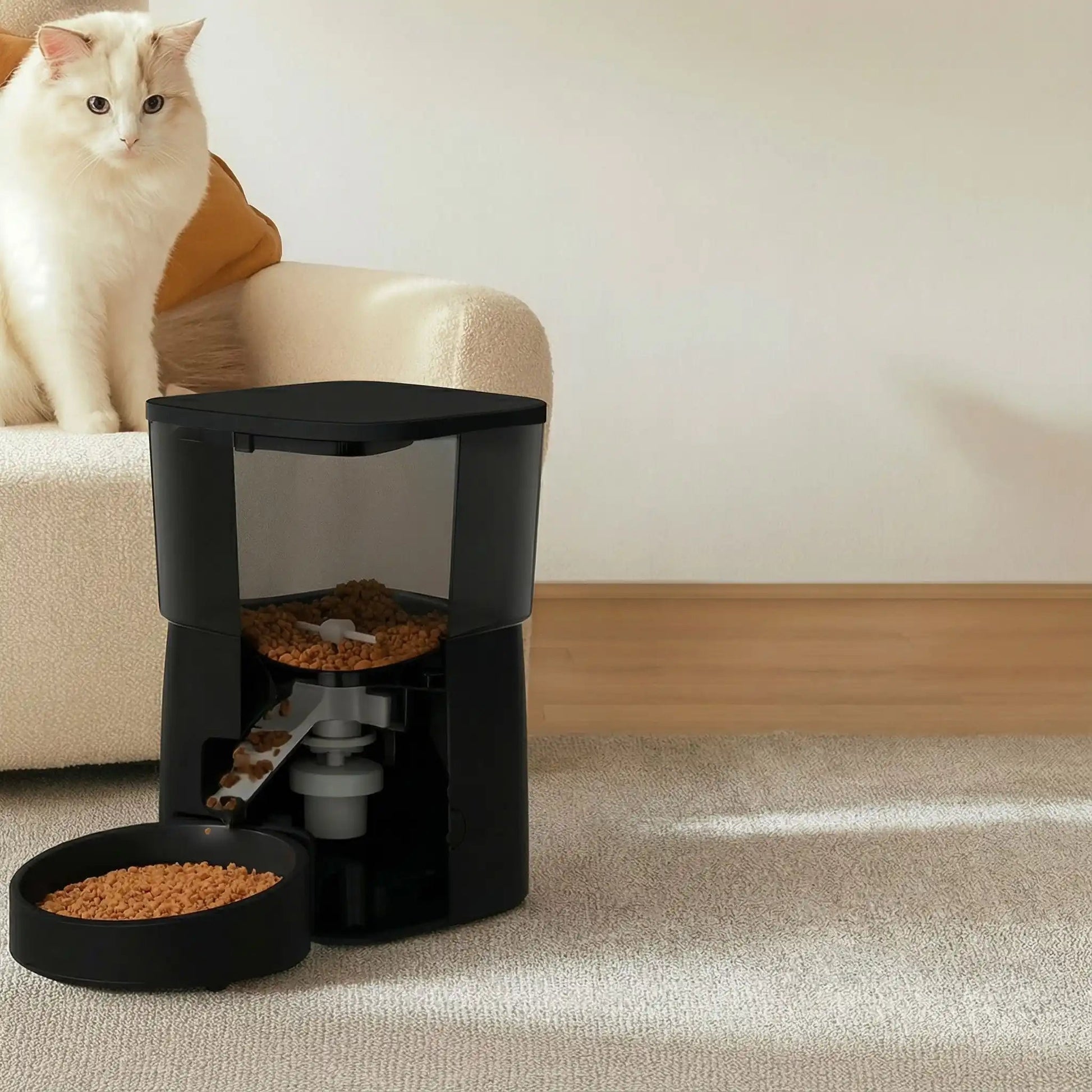 Distributeur croquettes chat fauteuil regarde distributeur noir