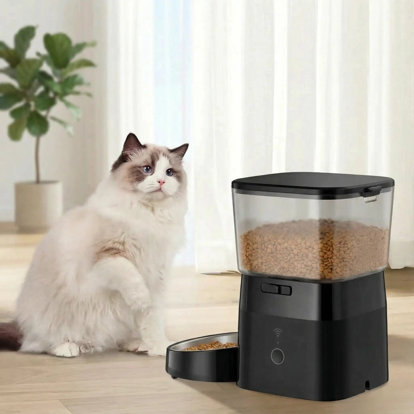 Distributeur croquettes couleur noir