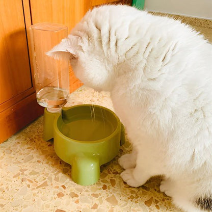Distributeur eau chat chat regarde eau distributeur vert