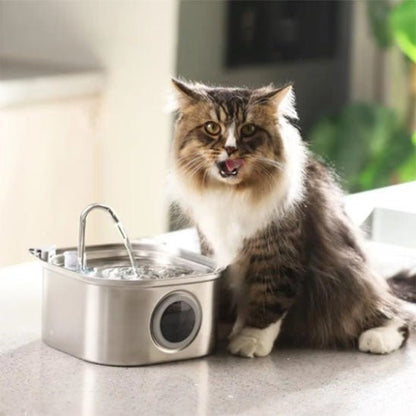Distributeur eau pour chat chat leche babine devant distributeur