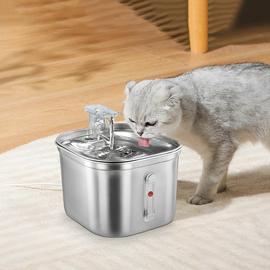 Distributeur eau pour chat chat boit eau distributeur