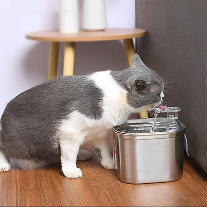 Distributeur eau pour chat chat boit eau robinet distributeur