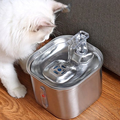 Distributeur eau pour chat chat observe eau coule robinet distributeur