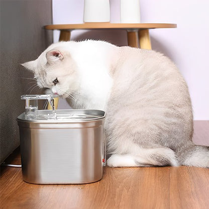 Distributeur eau pour chat chat regarde eau robinet distributeur