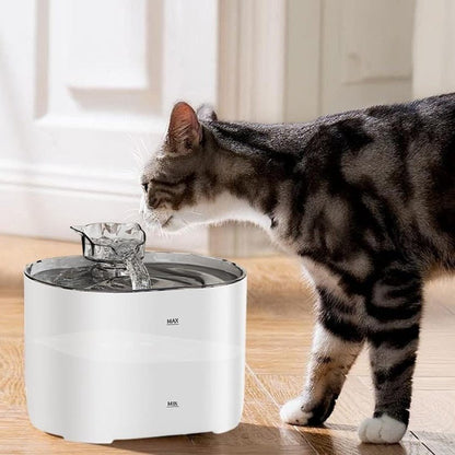Fontaine a eau pour chat chat sent eau fontaine