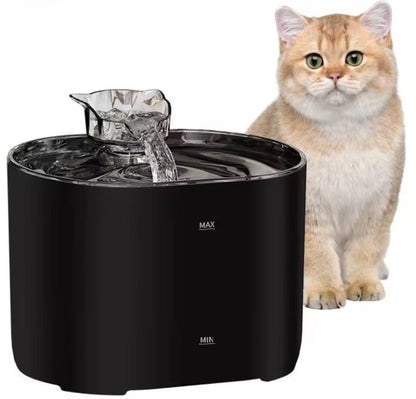 Fontaine a eau pour chat couleur noire