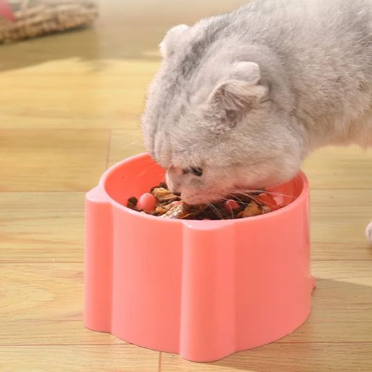 Gamelle anti glouton chat chat mange croquette gamelle couleur corail