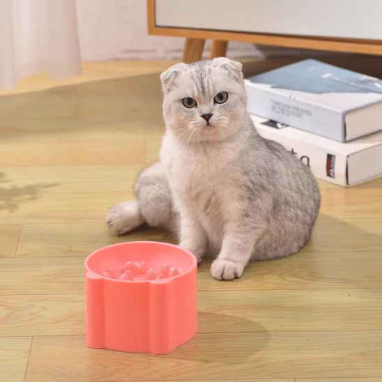 Gamelle anti glouton chat chat derriere gamelle couleur corail