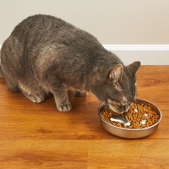 Gamelle anti-glouton chat chat mange croquette